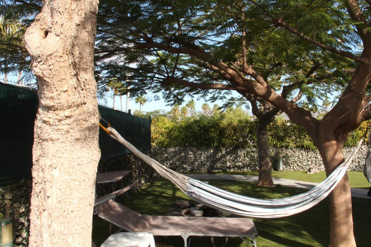 Albaricoques Vivac Bungalow San Bartolomé 外观 照片